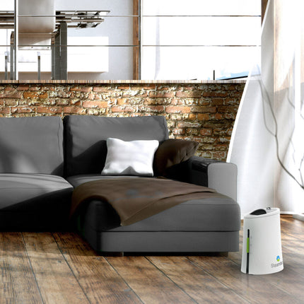 Steamfast SF-920 on a hardwood floor in front of a gray couch in a home living room